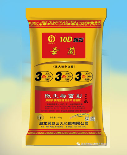 圣菌333 